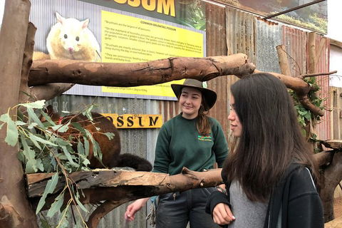 Perth Hills - Wildlife, Art & Gastronomy - New South Wales Tourism  4