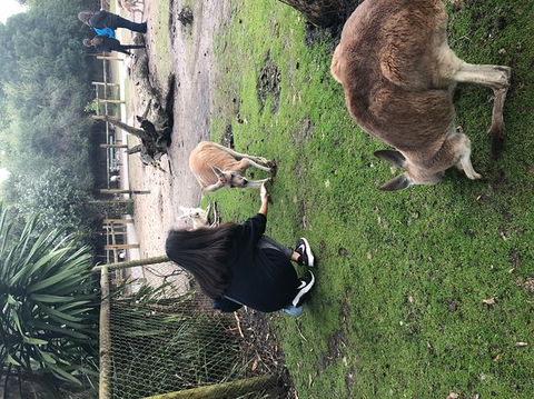 Perth Hills - Wildlife, Art & Gastronomy - New South Wales Tourism  9