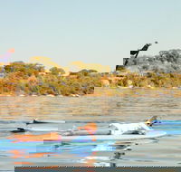 Stand-Up Paddleboarding Lesson plus Guided Paddle on Perth's Swan River - New South Wales Tourism 