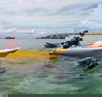 Seal Island and Penguin Island or Point Peron Sea Kayak Tour - New South Wales Tourism 