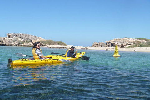 Seal Island And Penguin Island Or Point Peron Sea Kayak Tour - New South Wales Tourism  3