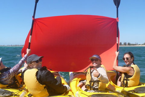 Seal Island And Penguin Island Or Point Peron Sea Kayak Tour - New South Wales Tourism  2