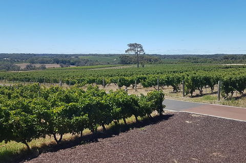 Full Day Winery And Brewery Tour In A Classic Silver Spirit Rolls Royce - New South Wales Tourism  5