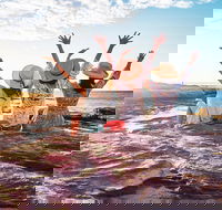 4-Day Coastal Loop via Monkey Mia Wild Dolphins Kalbarri Pinnacles Perth Return - New South Wales Tourism 