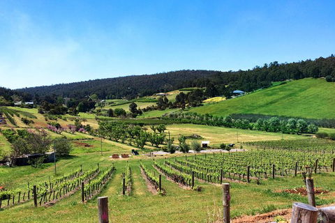 Cider, Wine & Cheese In The Perth Hills - Half-Day Premium Small Group Tour - New South Wales Tourism  1