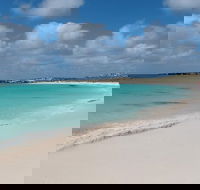 Pink Lake and Abrolhos Full Day Fly and Flipper - New South Wales Tourism 