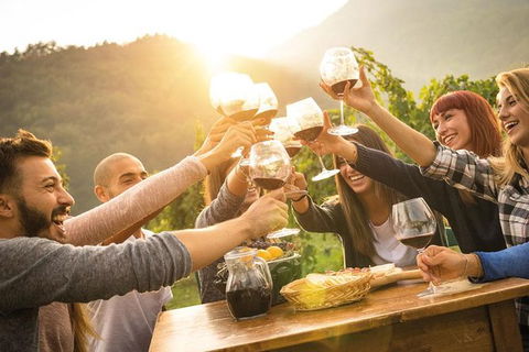Twilight Winery Experience - New South Wales Tourism  2