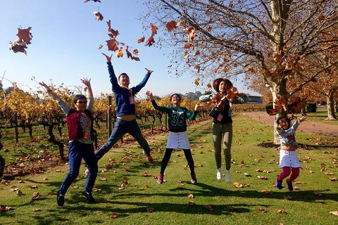 Swan Valley Half-Day Food And Wine Tasting Tour - New South Wales Tourism  8