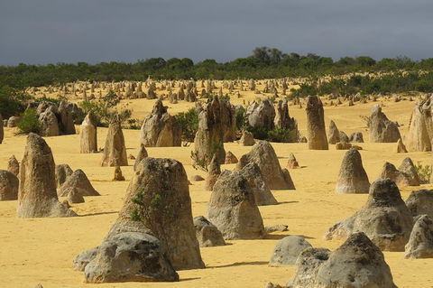 Pinnacles & Rottnest Island Scenic Air & Ground Tour - New South Wales Tourism  6