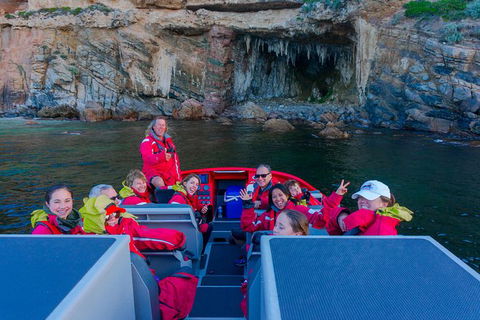 Dunsborough Jet Boat Sea Safari Along Cape Naturaliste Coast - New South Wales Tourism  0