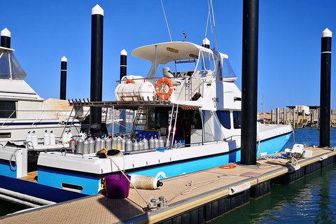 Muiron Island Dive & Snorkel Tour - New South Wales Tourism  7