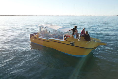 Turtle Tours On The Ningaloo Reef, Exmouth. 1/2 Day Cruise. - New South Wales Tourism  8