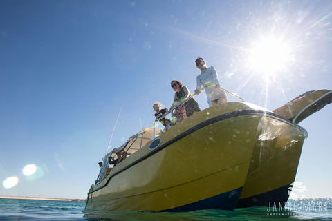Turtle Tours On The Ningaloo Reef, Exmouth. 1/2 Day Cruise. - New South Wales Tourism  7