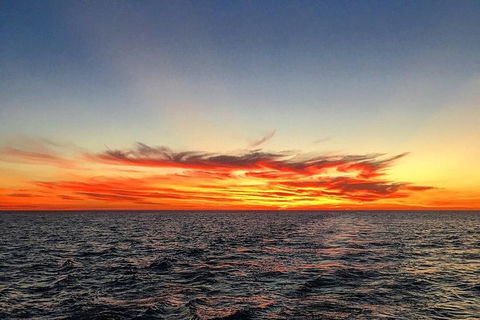 Half-Day Whale Watching Sunset Cruise From Broome - New South Wales Tourism  8