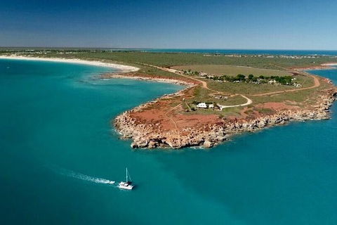 Half-Day Whale Watching Sunset Cruise From Broome - New South Wales Tourism  10