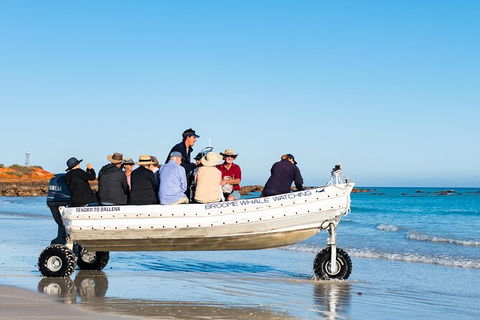Half-Day Whale Watching Sunset Cruise From Broome - New South Wales Tourism  11