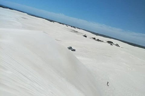 Yanchep & Lancelin - Wildlife, Cave And Sands - New South Wales Tourism  3