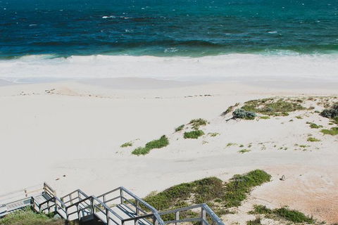 Yanchep & Lancelin - Wildlife, Cave And Sands - New South Wales Tourism  4
