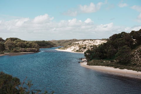 Yanchep & Lancelin - Wildlife, Cave And Sands - New South Wales Tourism  6
