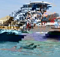 Mandurah Dolphin and Scenic Marine Cruise - New South Wales Tourism 