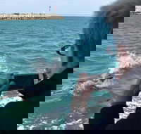 Mandurah Dolphin Island Adventure - New South Wales Tourism 