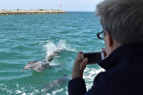 Mandurah Dolphin Island Adventure - New South Wales Tourism  0