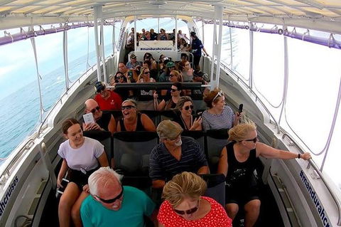 Mandurah Dolphin Island Adventure - New South Wales Tourism  1