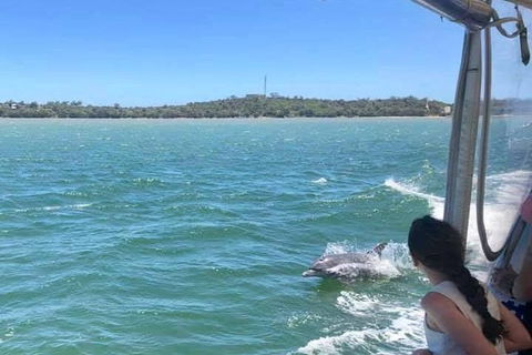 Mandurah Dolphin Island Adventure - New South Wales Tourism  9