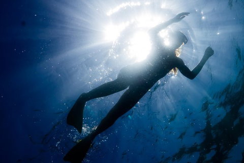 Ningaloo Reef Or Muiron Islands Snorkeling And Wildlife Adventure - New South Wales Tourism  6