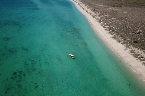 Ningaloo Reef Or Muiron Islands Snorkeling And Wildlife Adventure - New South Wales Tourism  10