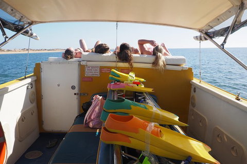 Ningaloo Reef Or Muiron Islands Snorkeling And Wildlife Adventure - New South Wales Tourism  11