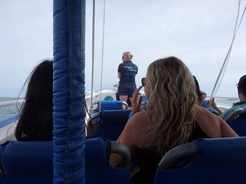 Penguin Island Tour With Dolphin And Sea Lion Cruise - New South Wales Tourism  2