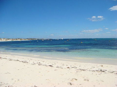 Rottnest Island With Bike Hire From Perth Or Fremantle - New South Wales Tourism  24