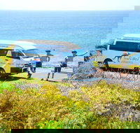 Margaret River Coastal and Wildlife Eco Trip from Busselton or Dunsborough - New South Wales Tourism 