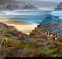 8-Day Cape to Cape Track Guided Walking Tour from Perth - New South Wales Tourism 