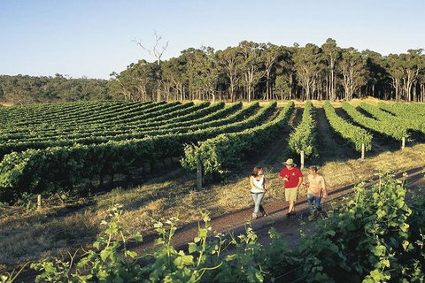 2-Day Margaret River Wine Experience From Perth - New South Wales Tourism  4