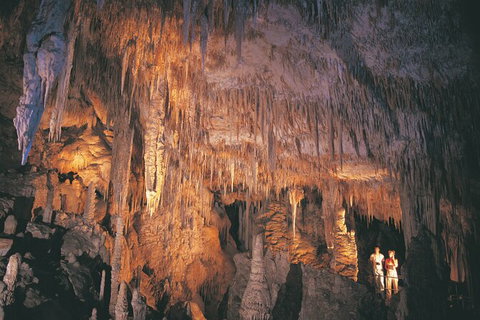 2-Day Margaret River Wine Experience From Perth - New South Wales Tourism  3