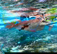 Abrolhos Islands Scenic Flight  Snorkel Adventure from Perth - New South Wales Tourism 