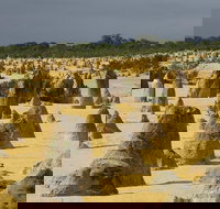 Pinnacles Desert Scenic Flight and Ground Tour - New South Wales Tourism 