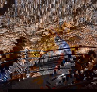 Margaret River and Geographe Bay Region Day Trip from Perth - New South Wales Tourism 