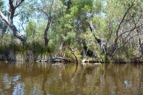 Kayak Tour On The Canning River - New South Wales Tourism  4