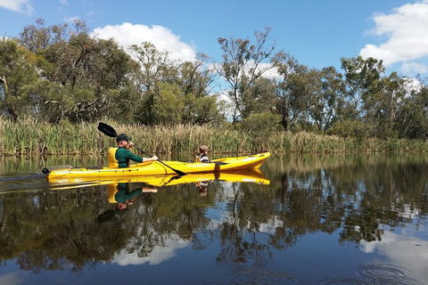 Kayak Tour On The Canning River - New South Wales Tourism  2