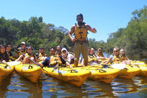 Kayak Tour On The Canning River - New South Wales Tourism  3