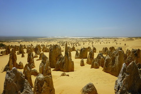 Pinnacles Desert Tour - New South Wales Tourism  1