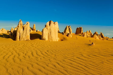 Pinnacles Desert Tour - New South Wales Tourism  0