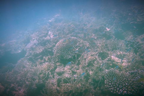 Guided Jet Ski And Snorkel Tour From Exmouth - New South Wales Tourism  1