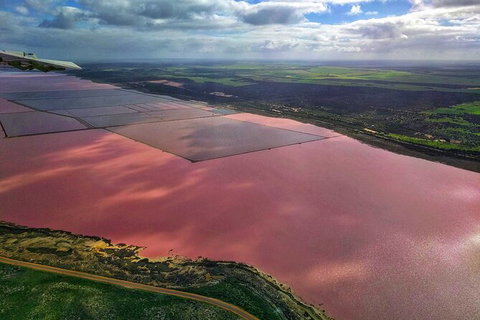 Kalbarri, Pink Lake And Abrolhos Islands Nature Tour - New South Wales Tourism  3