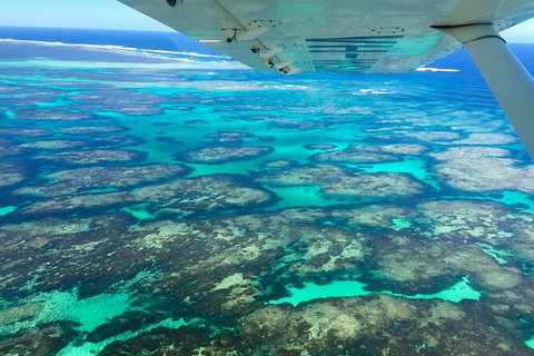 Kalbarri, Pink Lake And Abrolhos Islands Nature Tour - New South Wales Tourism  5