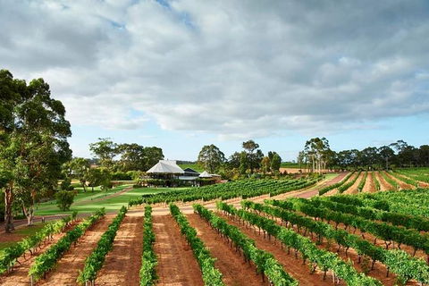 Vasse Felix Winery Tour And Tasting - New South Wales Tourism  0