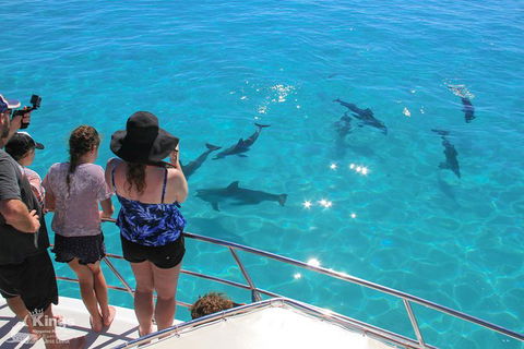 Ningaloo Reef Whale Shark Snorkeling Adventure Apr-July - New South Wales Tourism  4